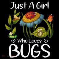 Just A Girl Who Loves Bugs Gift For Bugs Catcher Stripe Pom Pom Beanie thumb 2