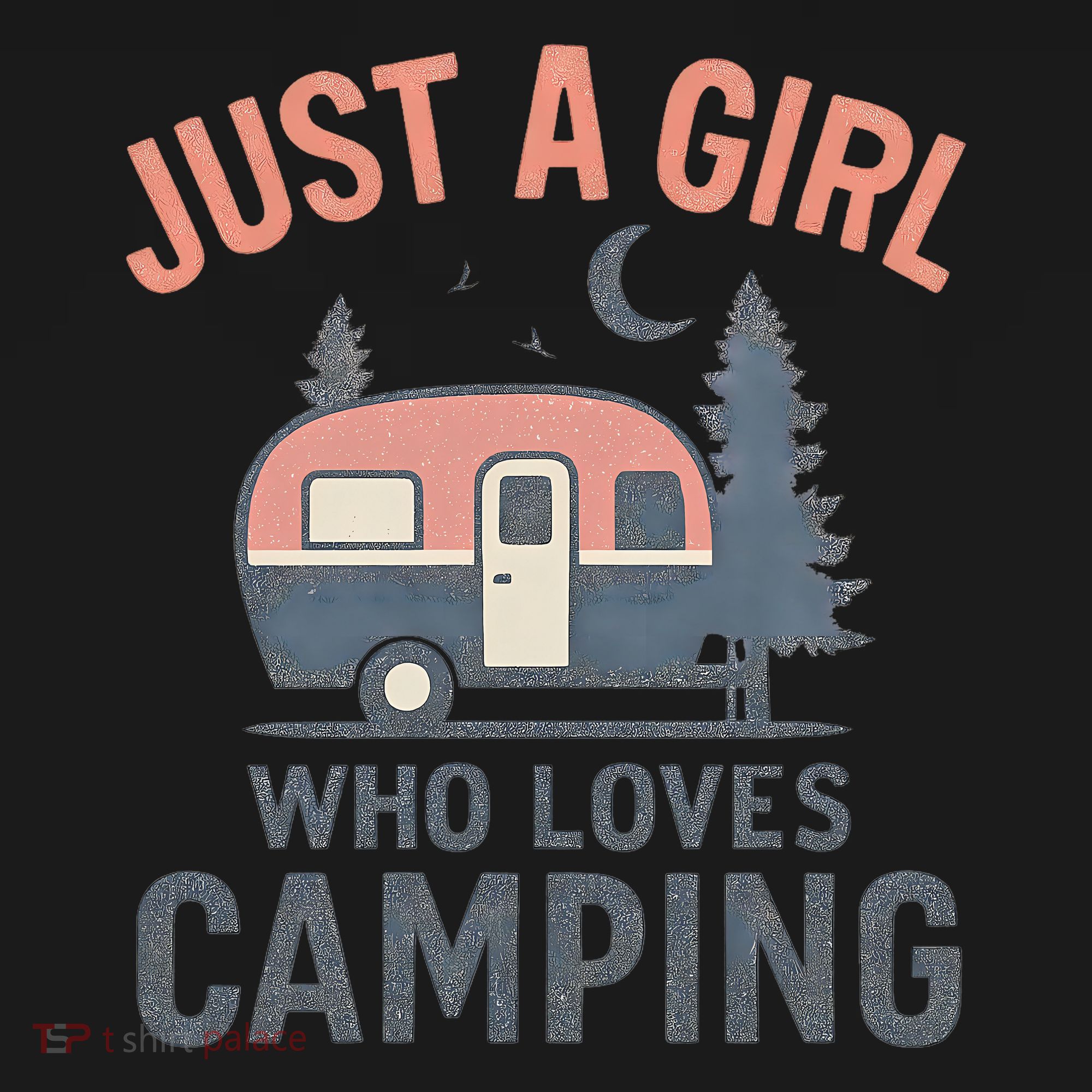 Just a Girl Who Loves Camping Women's Hoodie