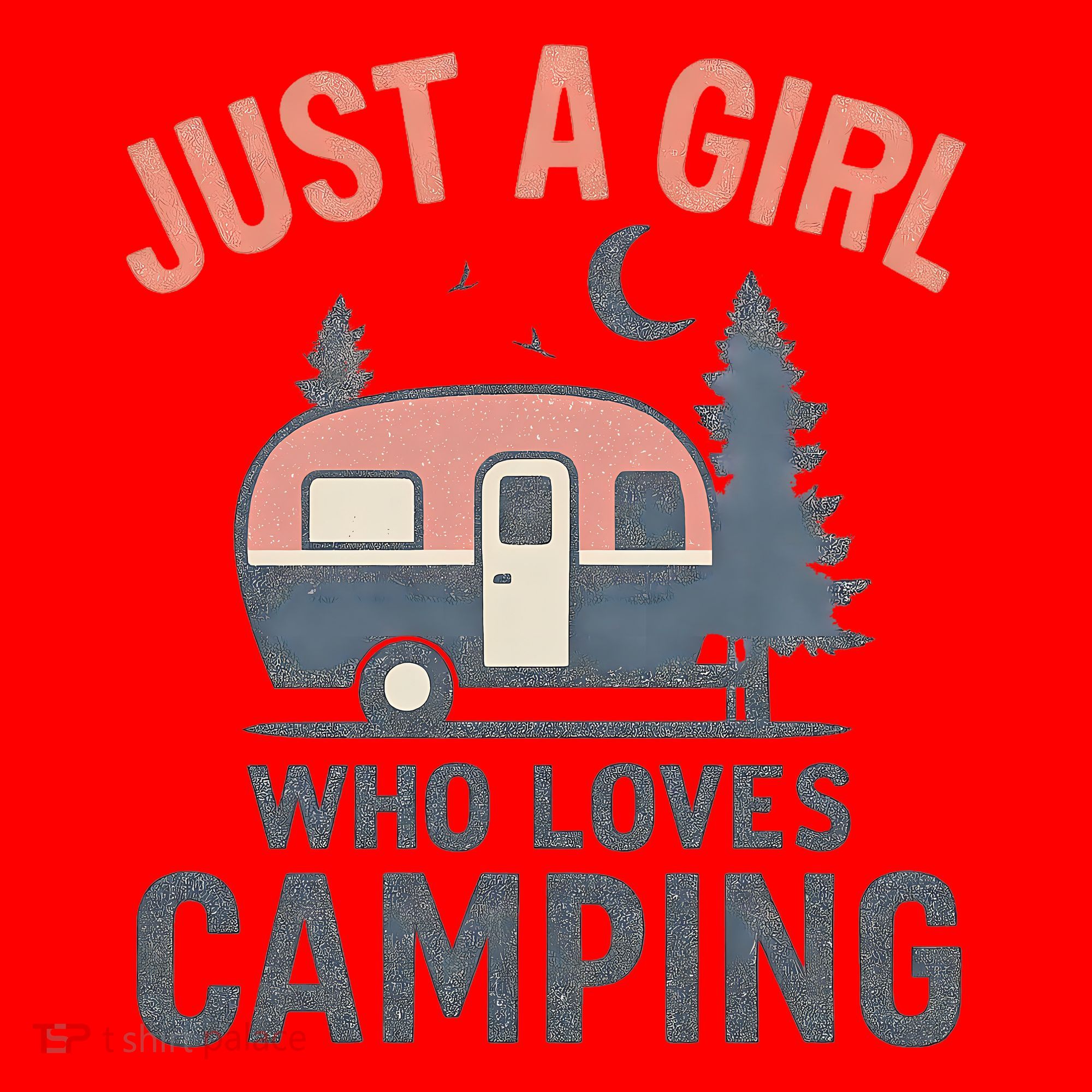 Just a Girl Who Loves Camping Santa Hat