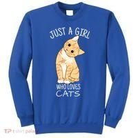 Just A Girl Who Loves Cats Gift For Cat Lover Gift Sweatshirt thumb 0