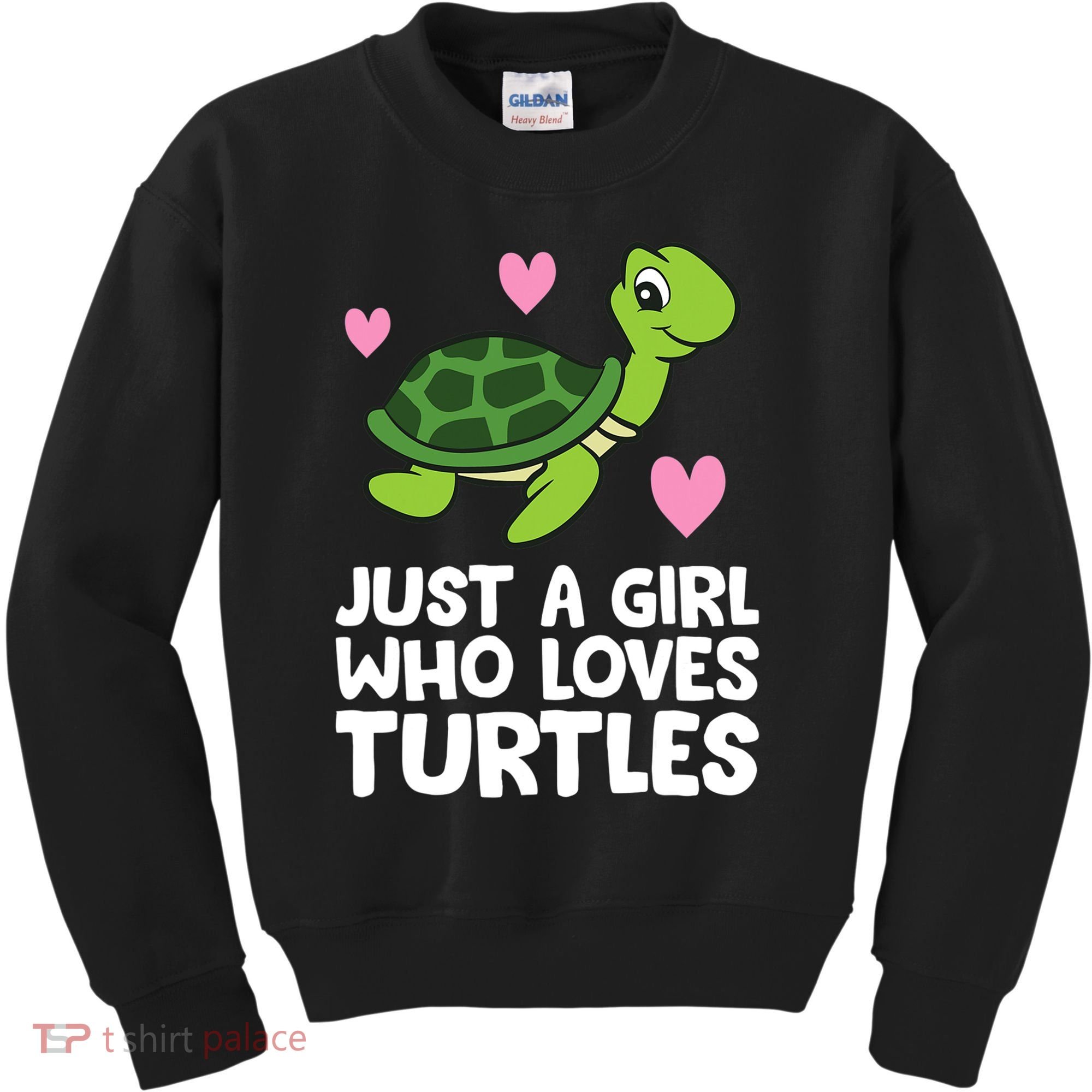 Just A Girl Who Loves Turtles Kids Sweatshirt