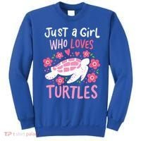 Just A Girl Who Loves Turtles Turtle Gift Sweatshirt thumb 0