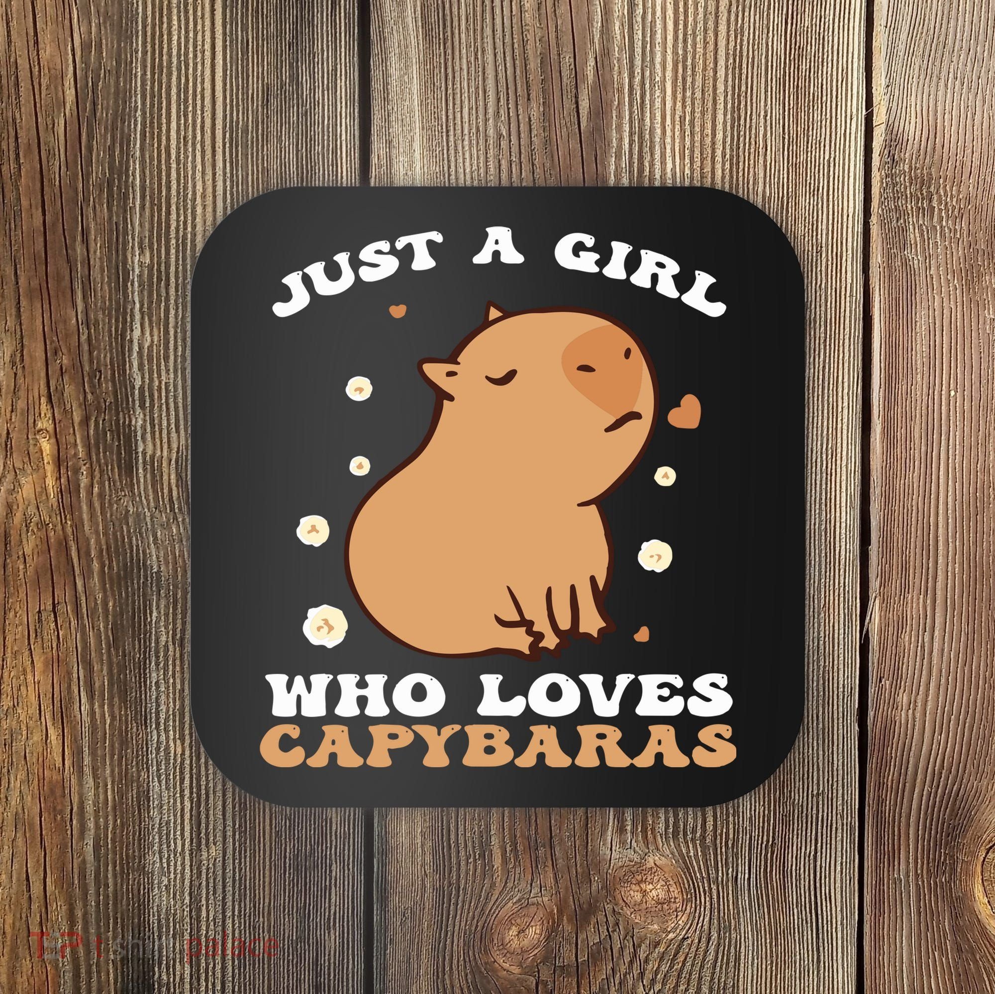 Just A Girl Who Loves Capybaras Coaster