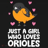 Just A Girl Who Loves Orioles Women's Hoodie thumb 2