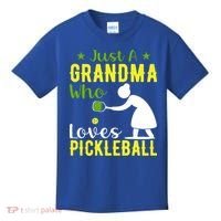Just A Grandma Who Loves Pickleball Paddle Gift Kids T-Shirt thumb 0
