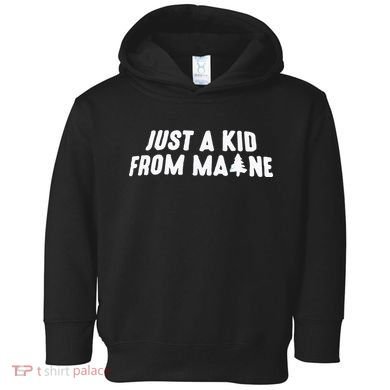 Just A Kids From Maine Toddler Hoodie