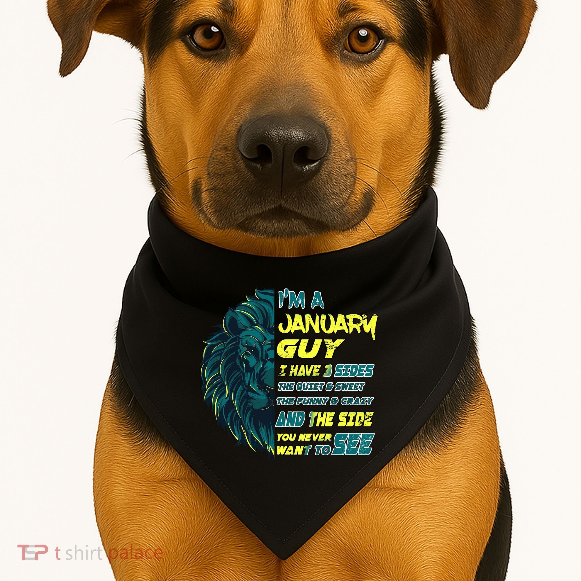 January Birthday Guy Has 3 Sides Sweet Funny Crazy  USA-Made Doggie Bandana