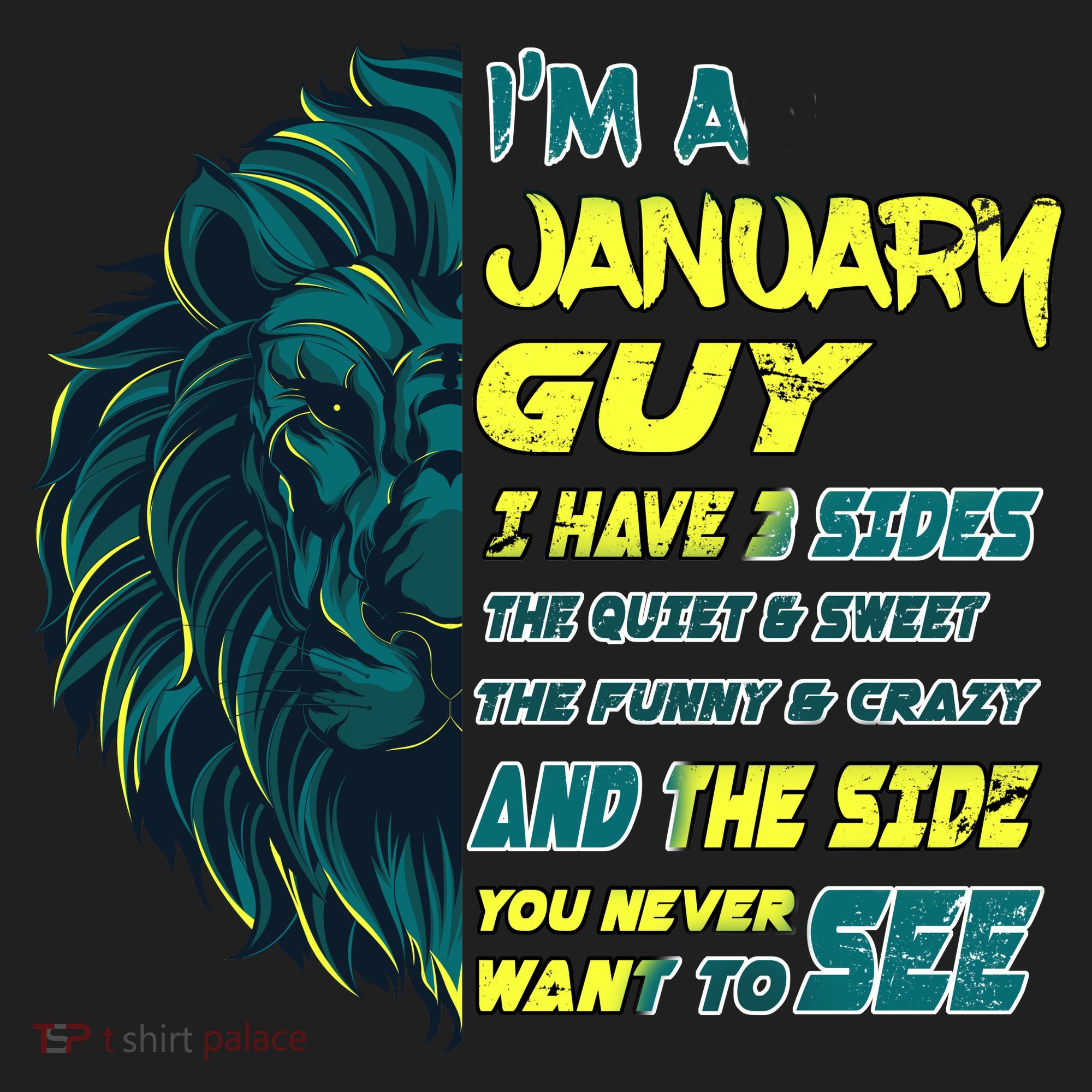 January Birthday Guy Has 3 Sides Sweet Funny Crazy  Hat