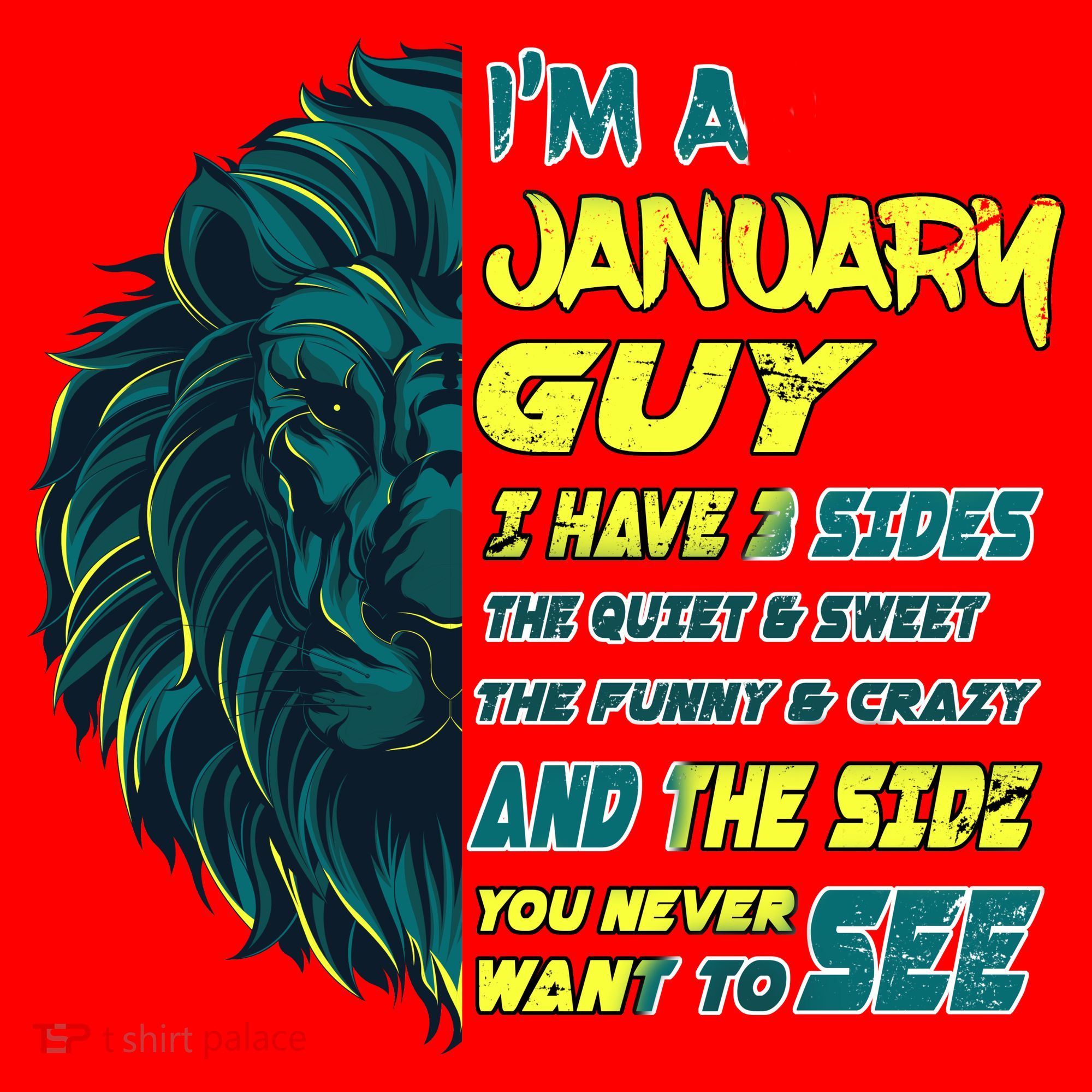 January Birthday Guy Has 3 Sides Sweet Funny Crazy  Santa Hat