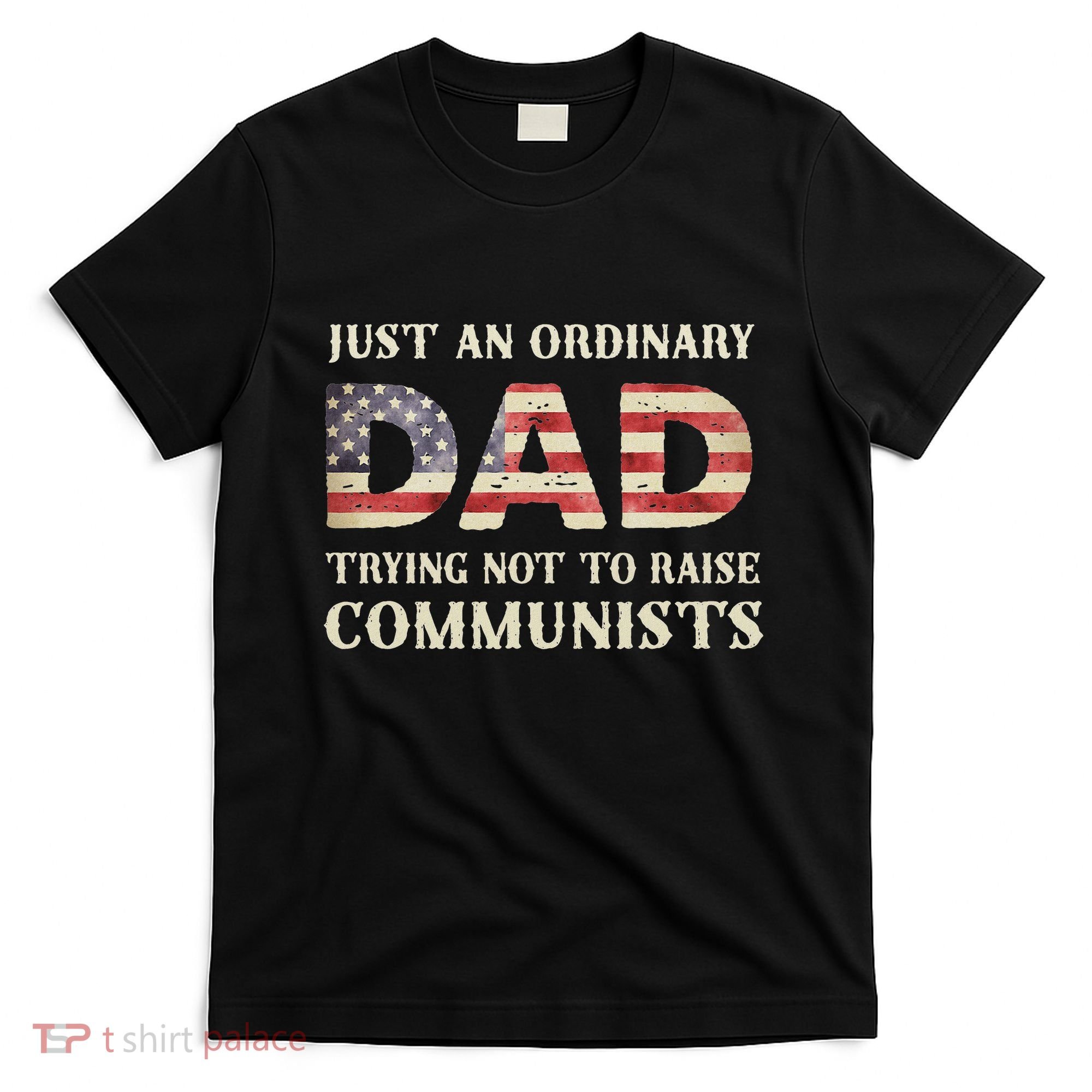 Just An Ordinary Dad Trying Not To Raise Communist Skull Dad T-Shirt