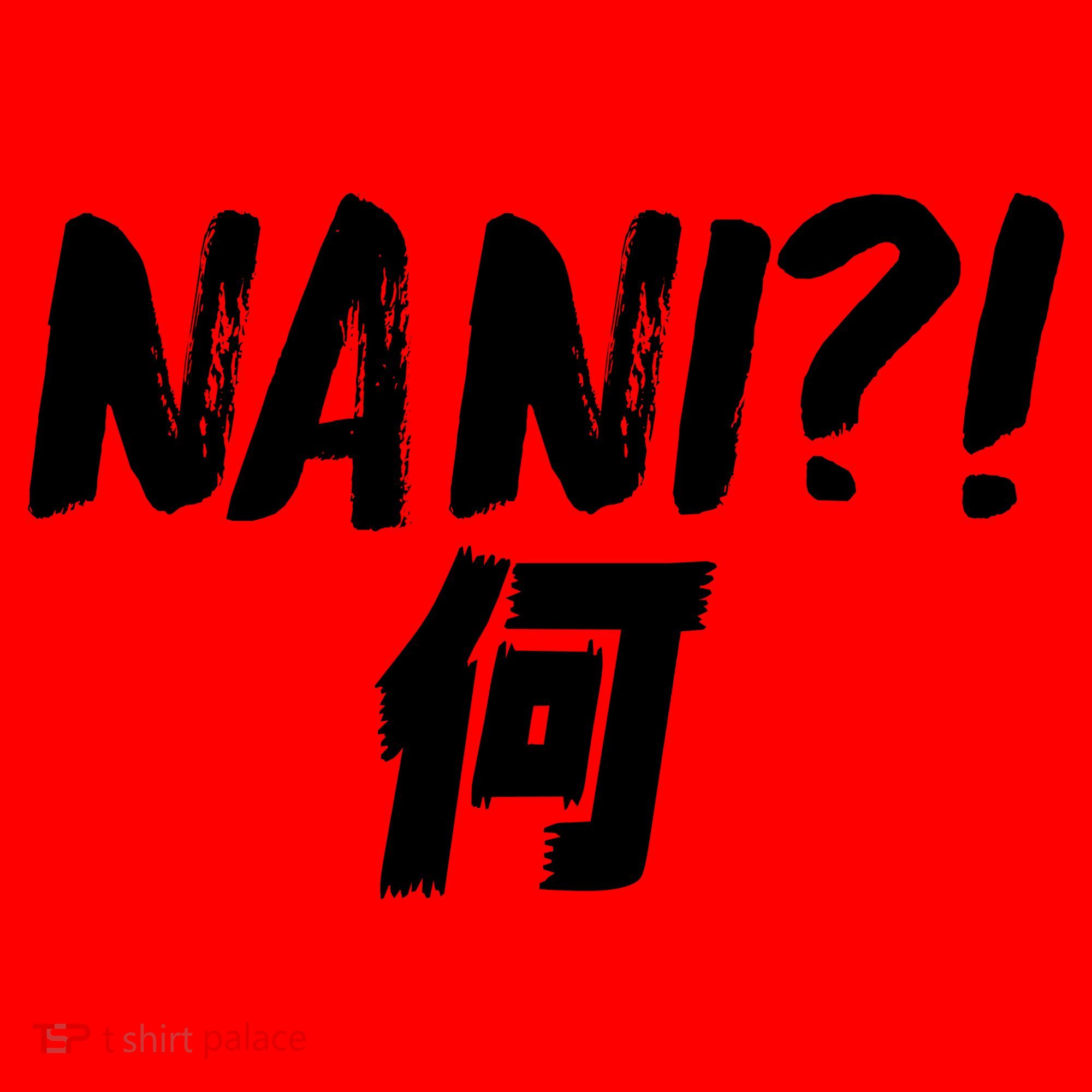 Japanese NANI WHAT Santa Hat
