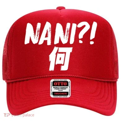 Japanese NANI WHAT Hat