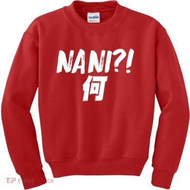 Japanese NANI WHAT Kids Sweatshirt