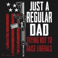 Just A Regular Dad Trying Not To Raise Liberals Funny Gift Gun Rights Gift Women's Hoodie thumb 2