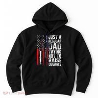 Just A Regular Dad Trying Not To Raise Liberals Fathers Day Hoodie thumb 0