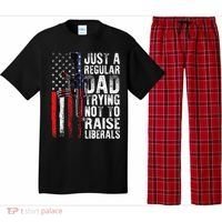 Just A Regular Dad Trying Not To Raise Liberals Fathers Day Pajama Set thumb 0