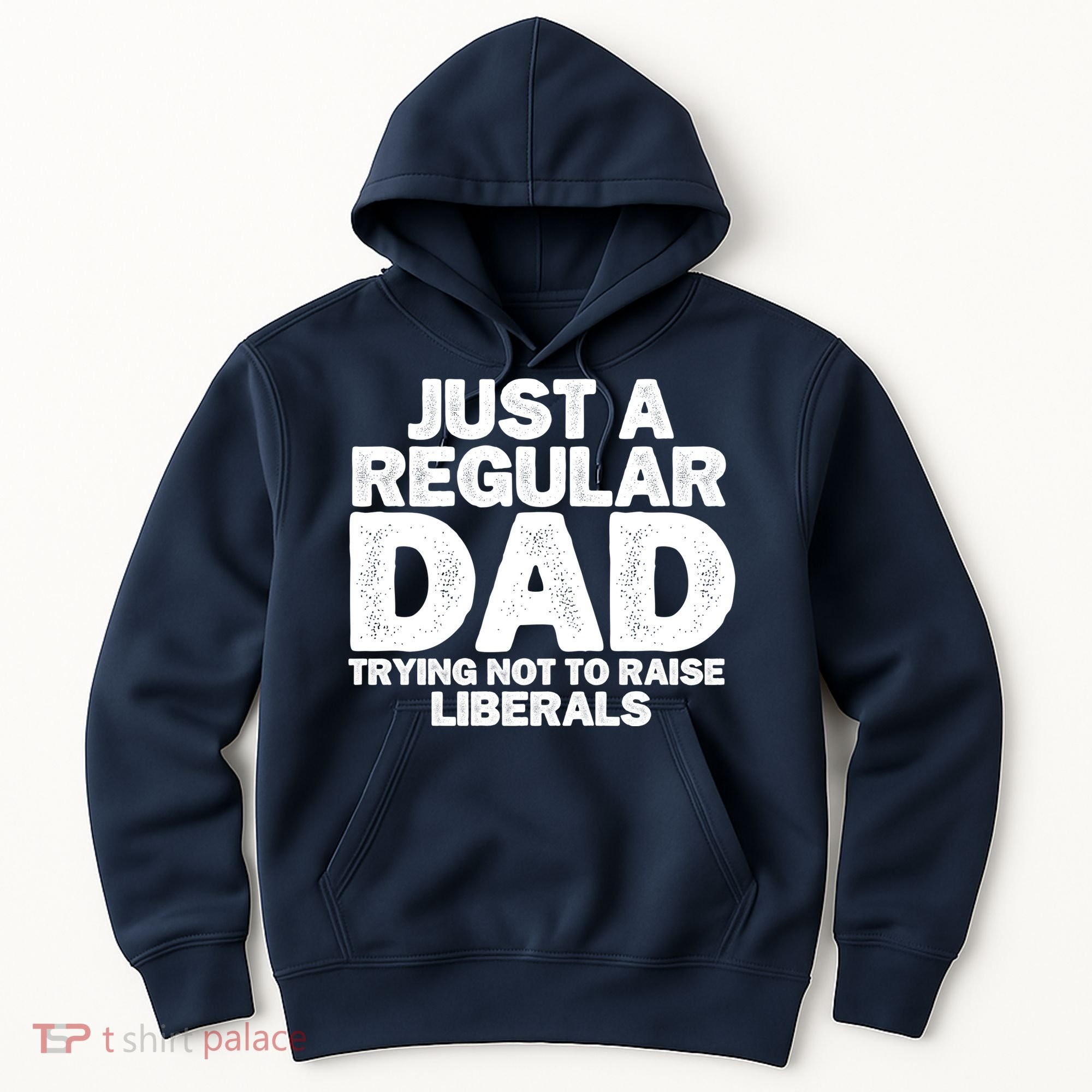 Just A Regular Dad Trying Not To Raise Liberals Hoodie