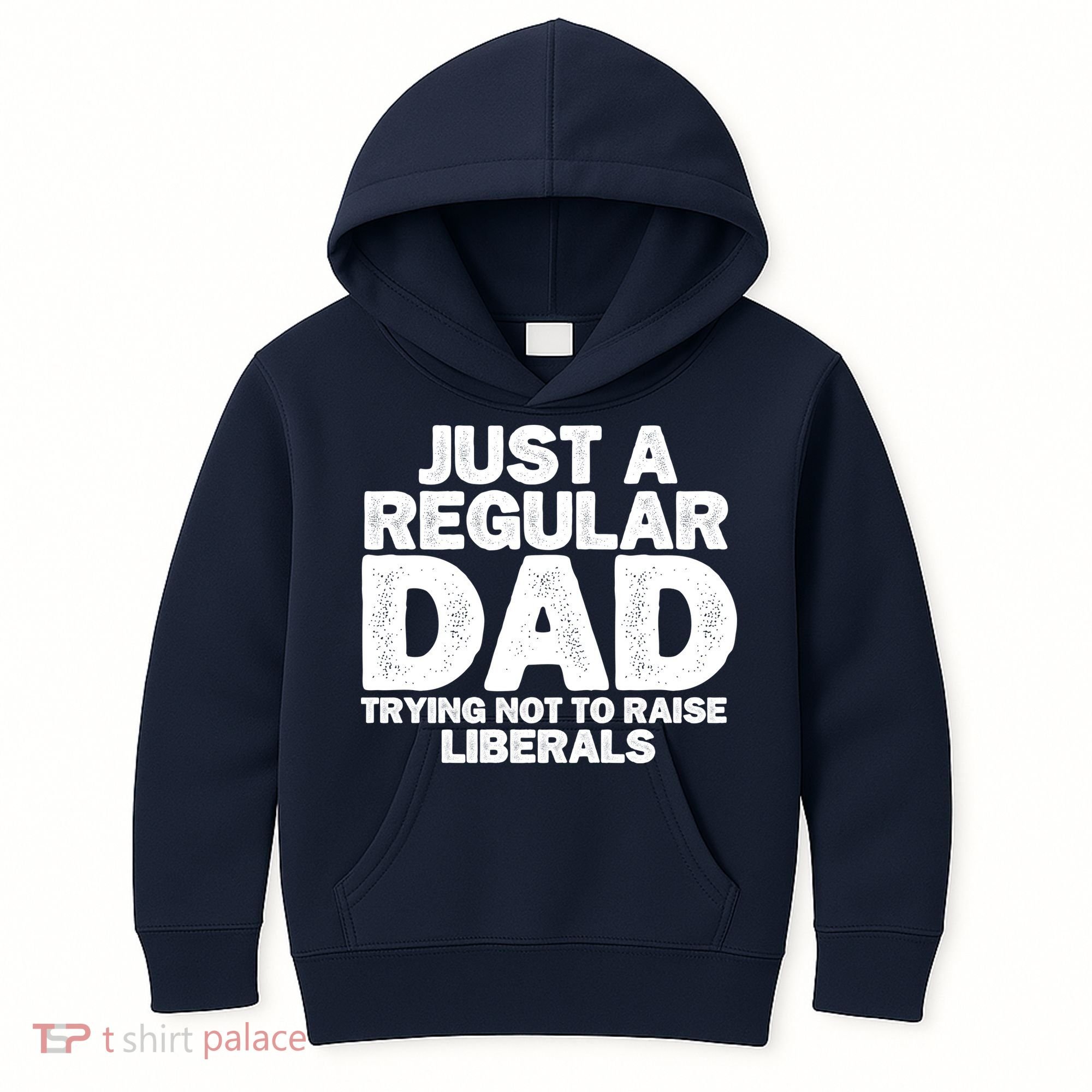 Just A Regular Dad Trying Not To Raise Liberals Kids Hoodie