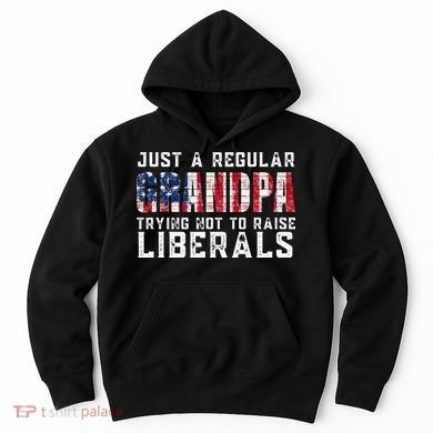 Just A Regular Grandpa Trying Not To Raise Liberals Hoodie