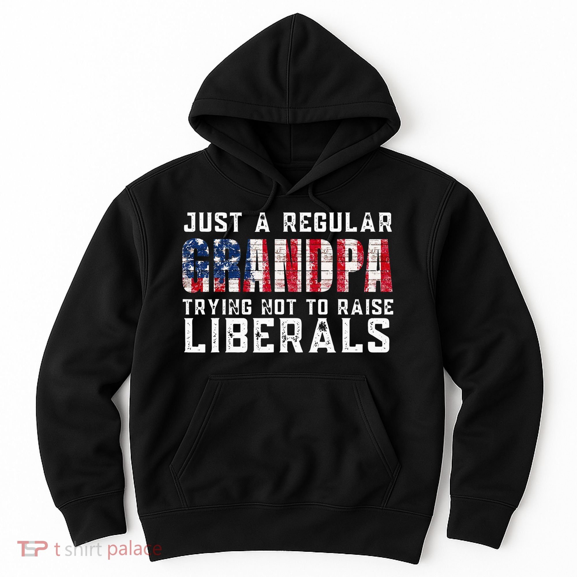 Just A Regular Grandpa Trying Not To Raise Liberals Hoodie