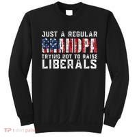 Just A Regular Grandpa Trying Not To Raise Liberals Sweatshirt thumb 0