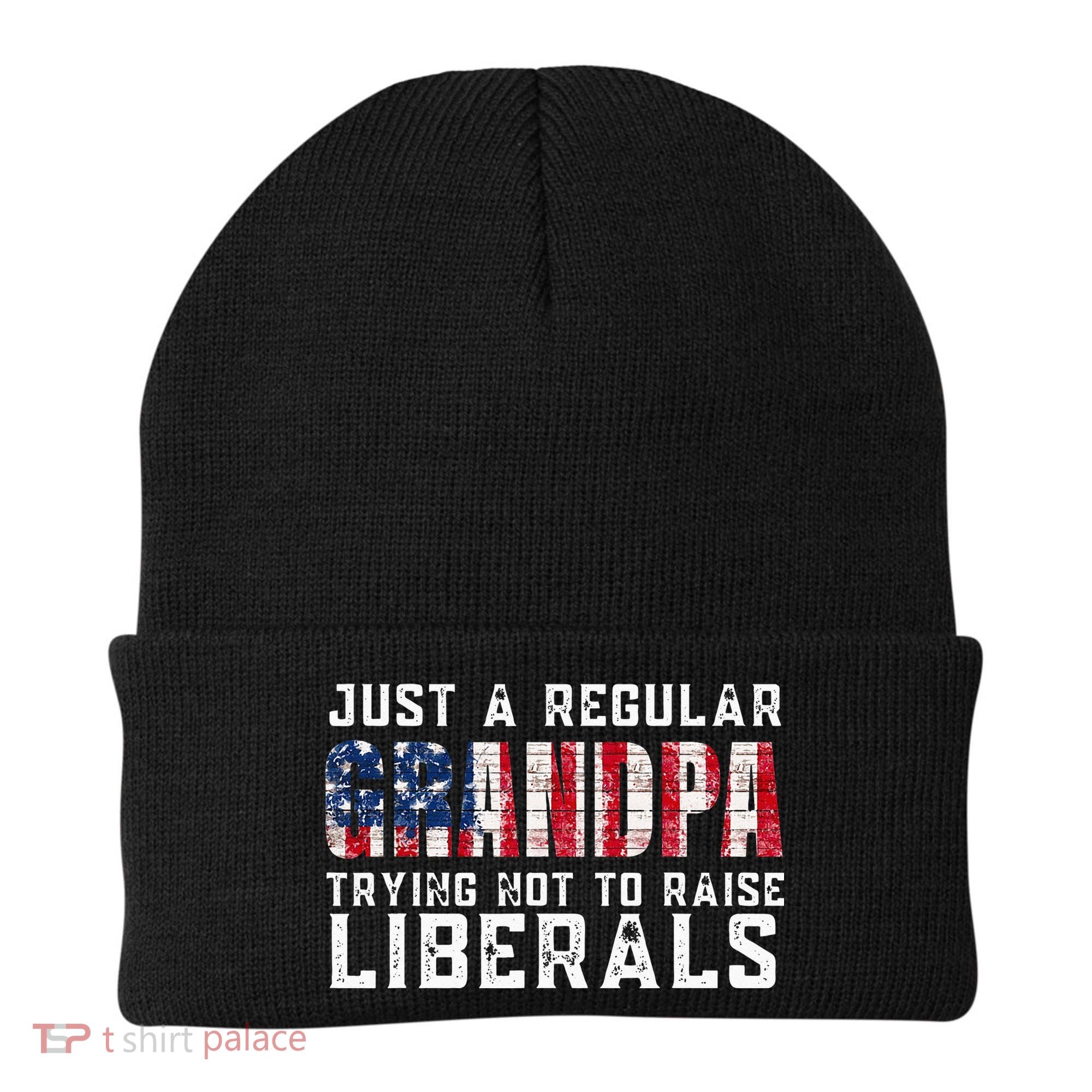 Just A Regular Grandpa Trying Not To Raise Liberals Beanie