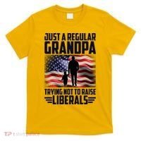 Just A Regular Grandpa Trying Not To Raise Liberals USA American Flag T-Shirt thumb 0