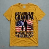 Just A Regular Grandpa Trying Not To Raise Liberals USA American Flag T-Shirt thumb 5