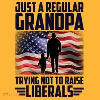 Just A Regular Grandpa Trying Not To Raise Liberals USA American Flag T-Shirt thumb 7