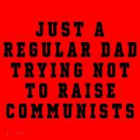 Just A Regular Dad Trying Not To Raise Communists Santa Hat thumb 1