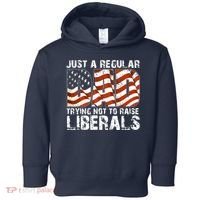 Just A Regular Dad Trying Not To Raise Liberals 4th July Son Toddler Hoodie thumb 0