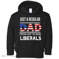 Just A Regular Dad Trying Not To Raise Liberals Fathers Day Toddler Hoodie thumb 0