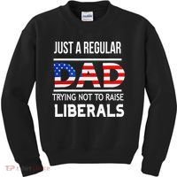 Just A Regular Dad Trying Not To Raise Liberals Fathers Day Kids Sweatshirt thumb 0