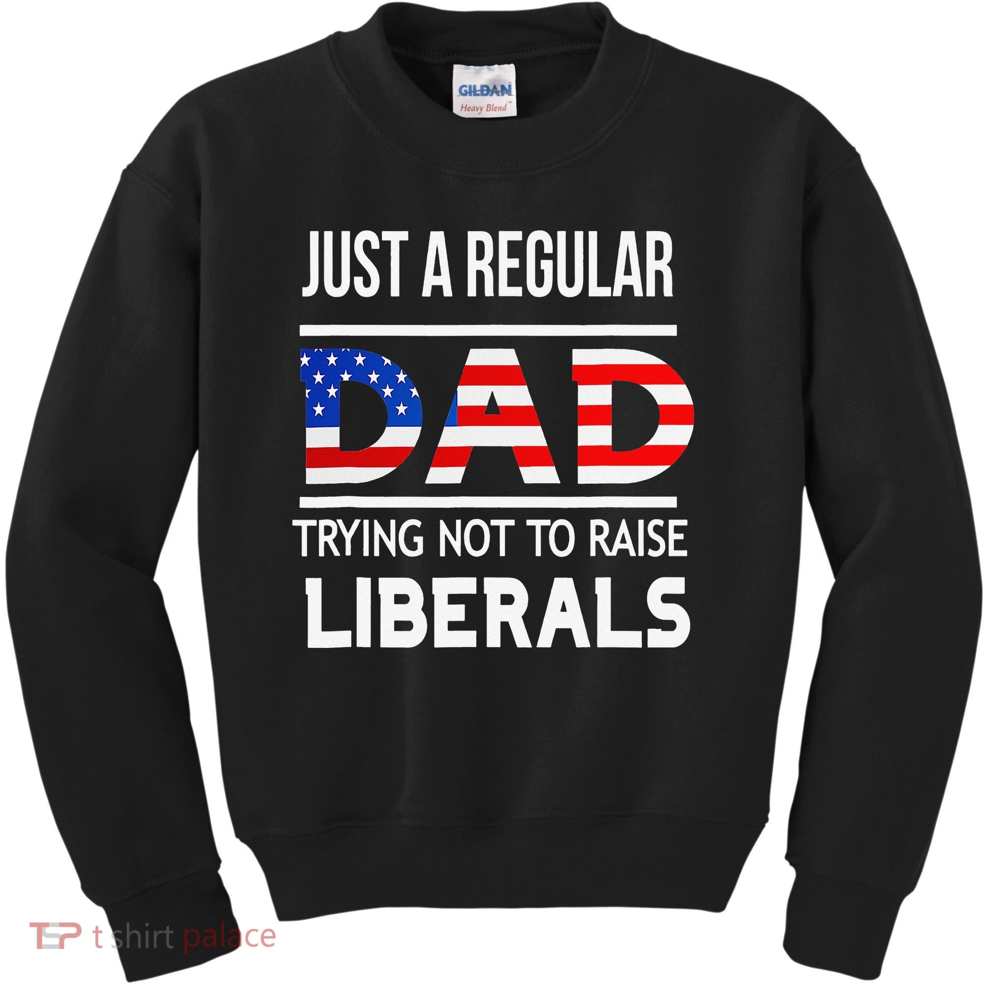 Just A Regular Dad Trying Not To Raise Liberals Fathers Day Kids Sweatshirt
