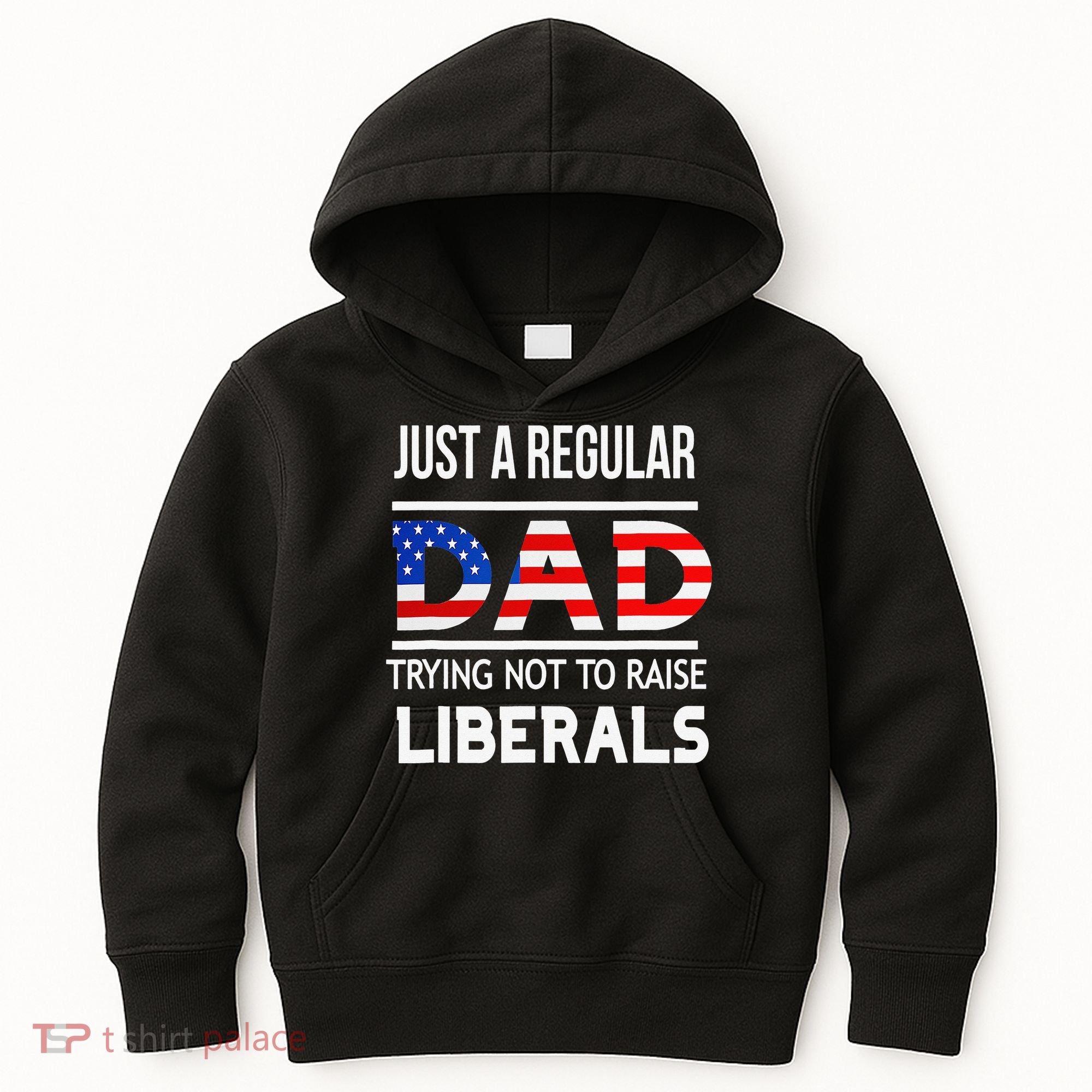 Just A Regular Dad Trying Not To Raise Liberals Fathers Day Kids Hoodie