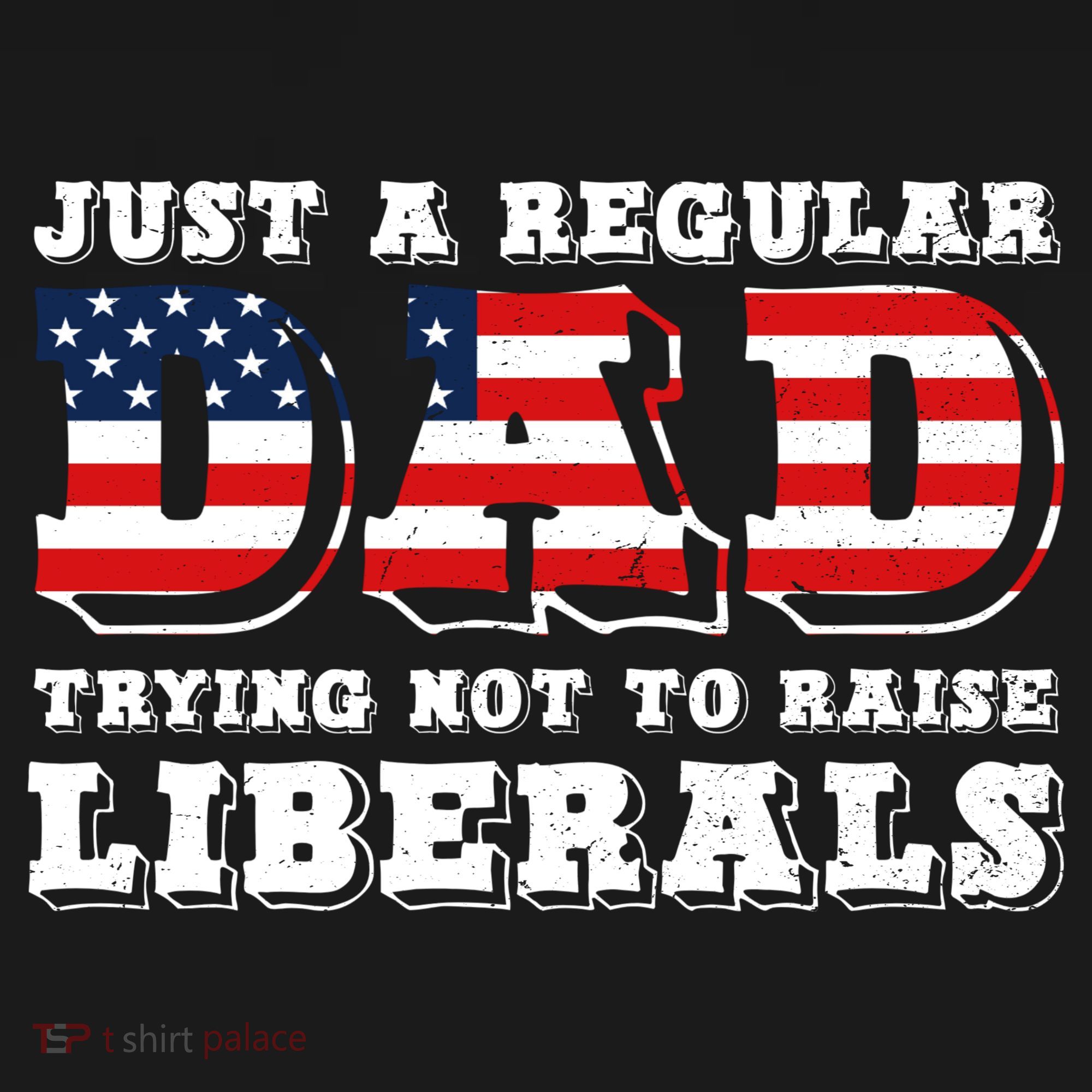 Just A Regular Dad Trying Not To Raise Liberals Father's Day Kids T-Shirt