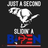Just A Second Slidin' A Biden Tumbler thumb 3