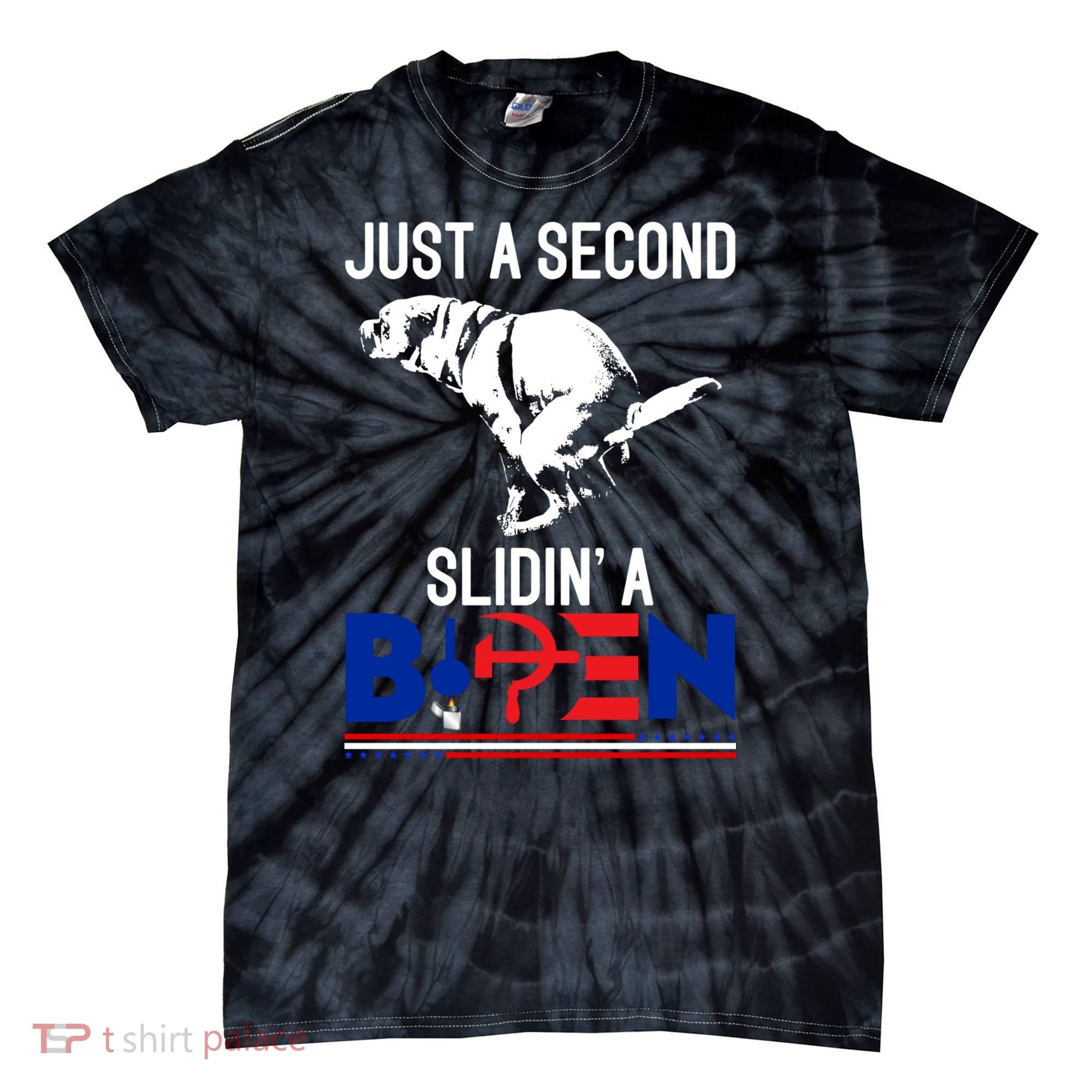 Just A Second Slidin' A Biden Tie-Dye T-Shirt