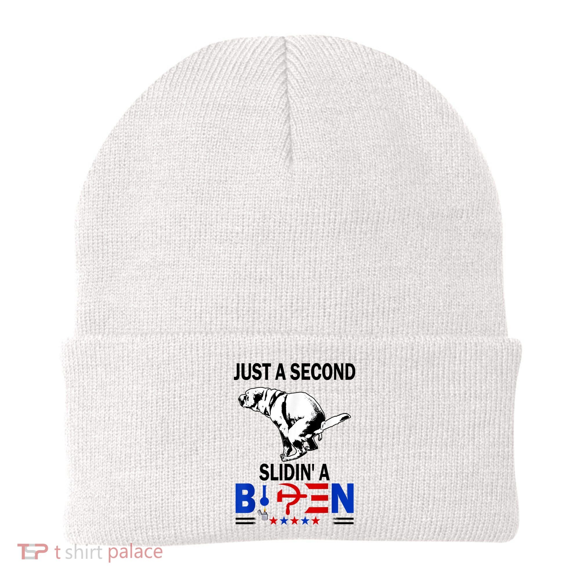 Just A Second Slidin' A Biden Beanie