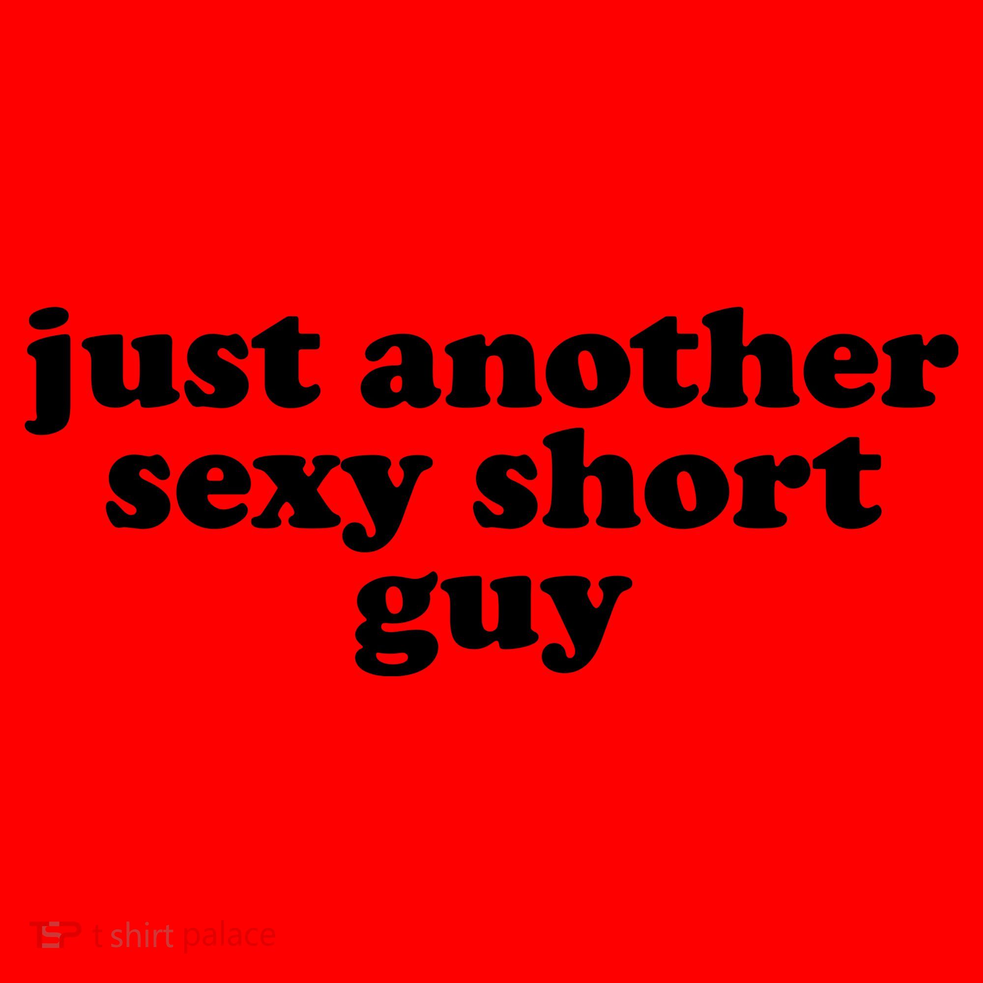 Just Another Sexy Short Guy Funny Santa Hat