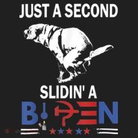 Just A Second Slidin' A Biden Beanie thumb 2