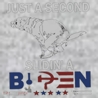 JUST A SECOND SLIDIN'A BIDEN The Baniff Cuffed Pom Beanie thumb 2