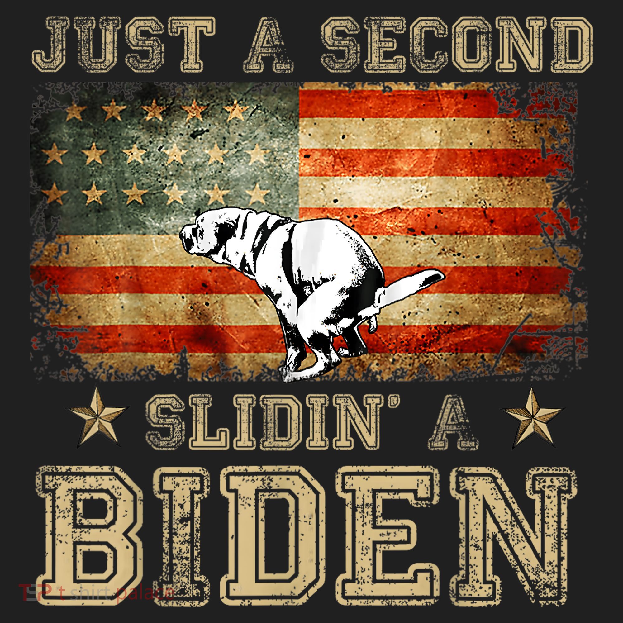 Just A Second Slidin’ A Biden – Funny Political Anti Biden Beanie