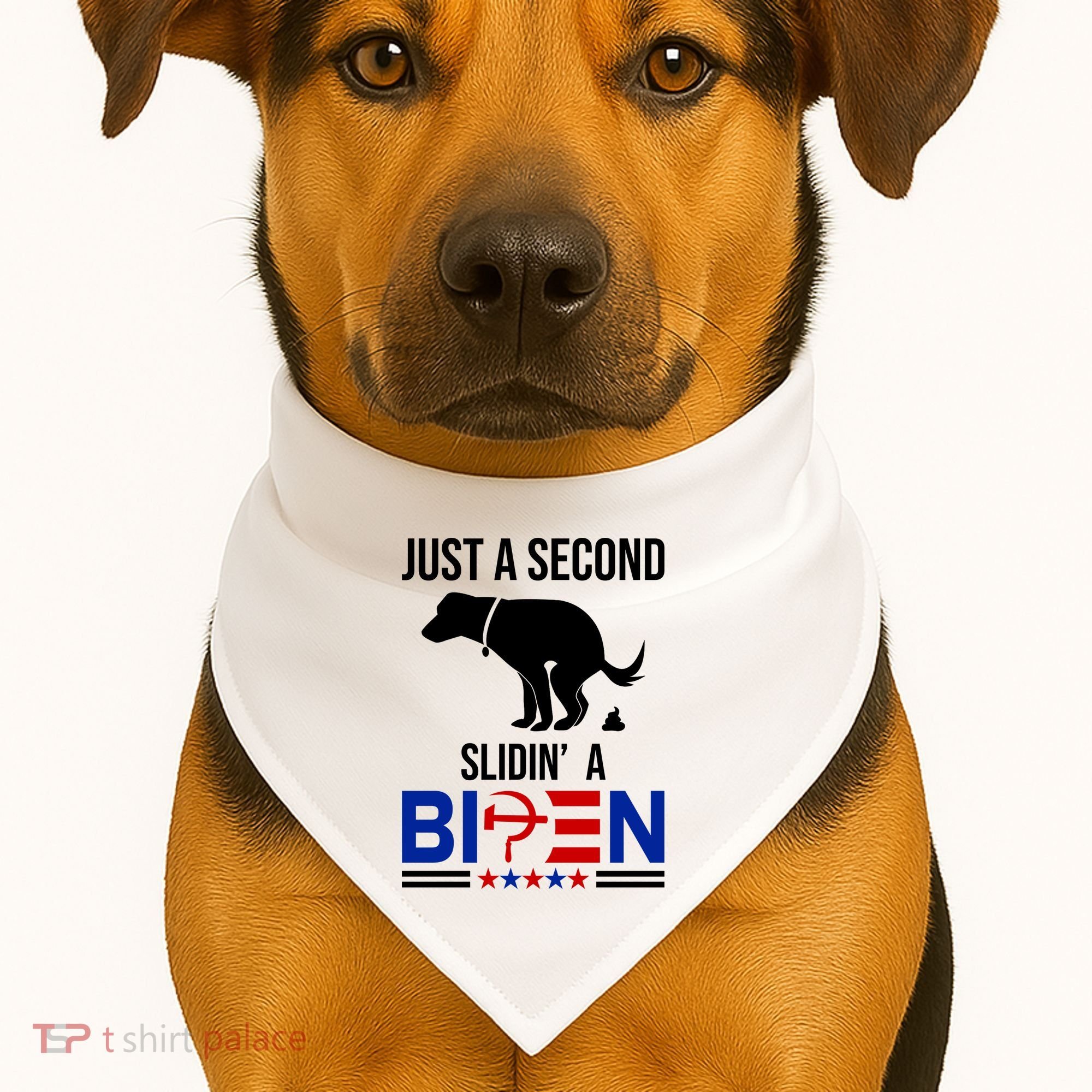 Just A Second Slidin A Biden Funny Dog USA-Made Doggie Bandana