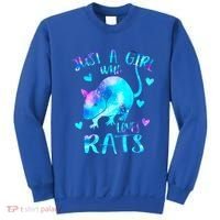 Just A Who Loves Rats Cute Rat Lover Galaxy Theme Gift Sweatshirt thumb 0