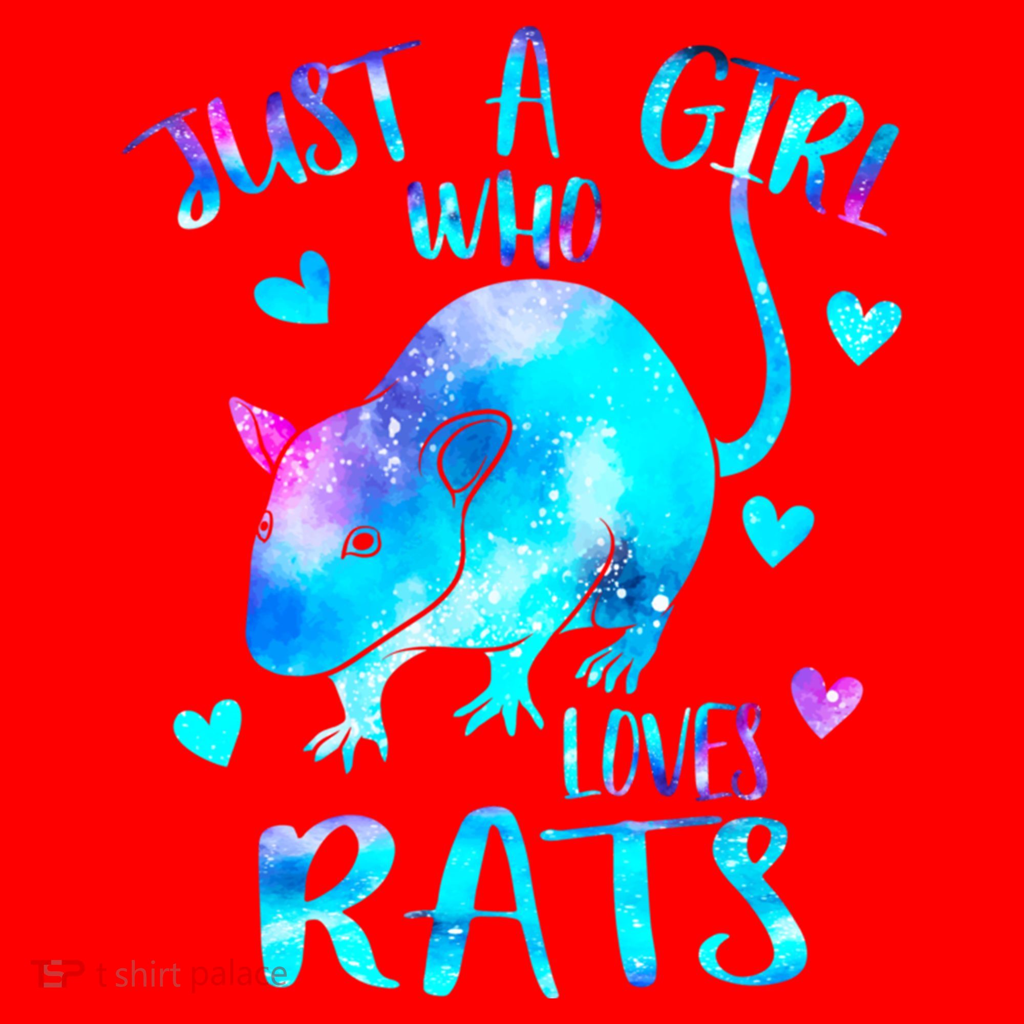 Just A Who Loves Rats Cute Rat Lover Galaxy Theme Gift Santa Hat