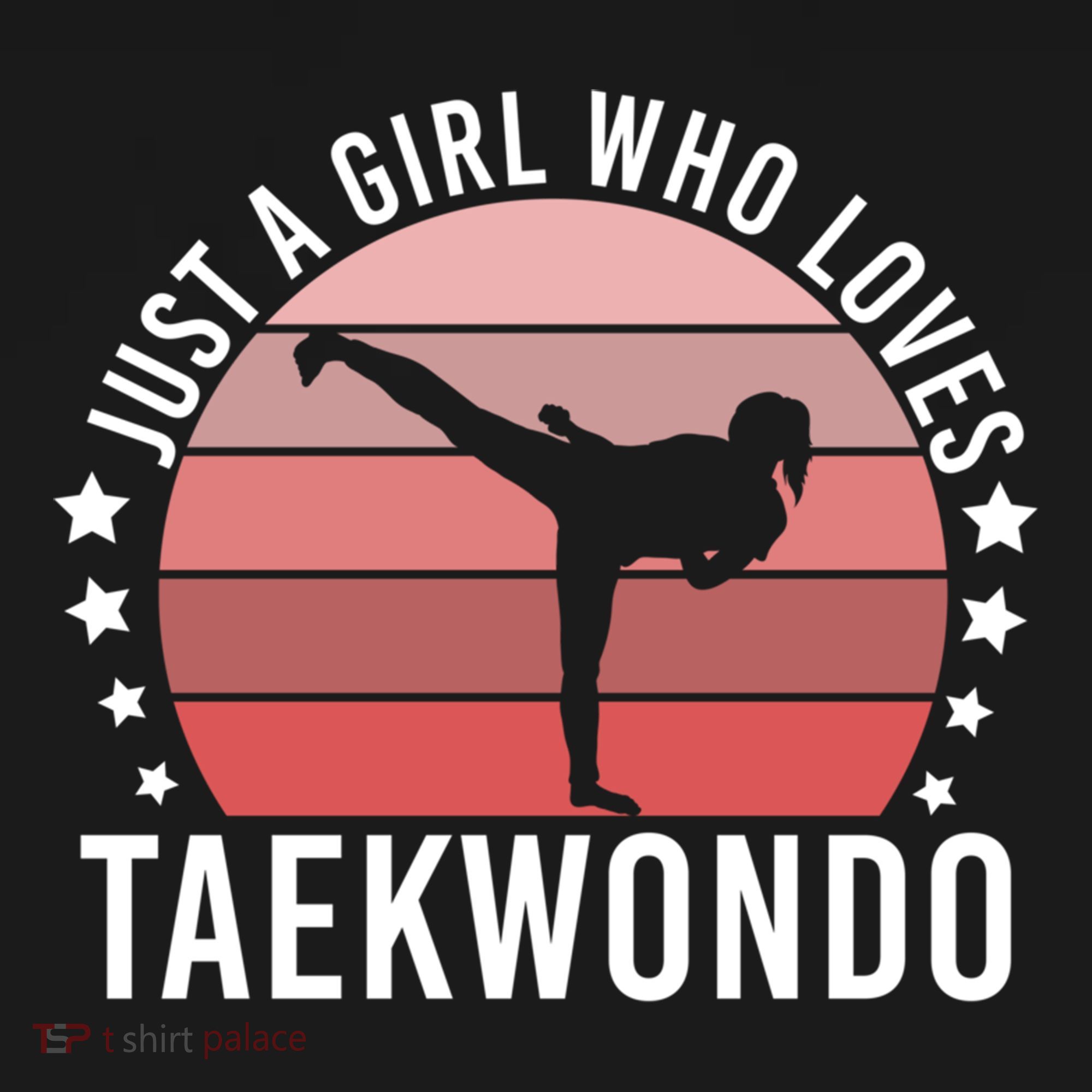 Just A Who Loves Taekwondo Gift Women's Hoodie