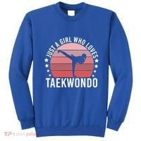 Just A Who Loves Taekwondo Gift Sweatshirt thumb 0