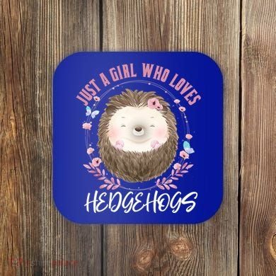 Just A Who Loves Hedgehogs Forest Animal Cute Hedgehog Gift Coaster