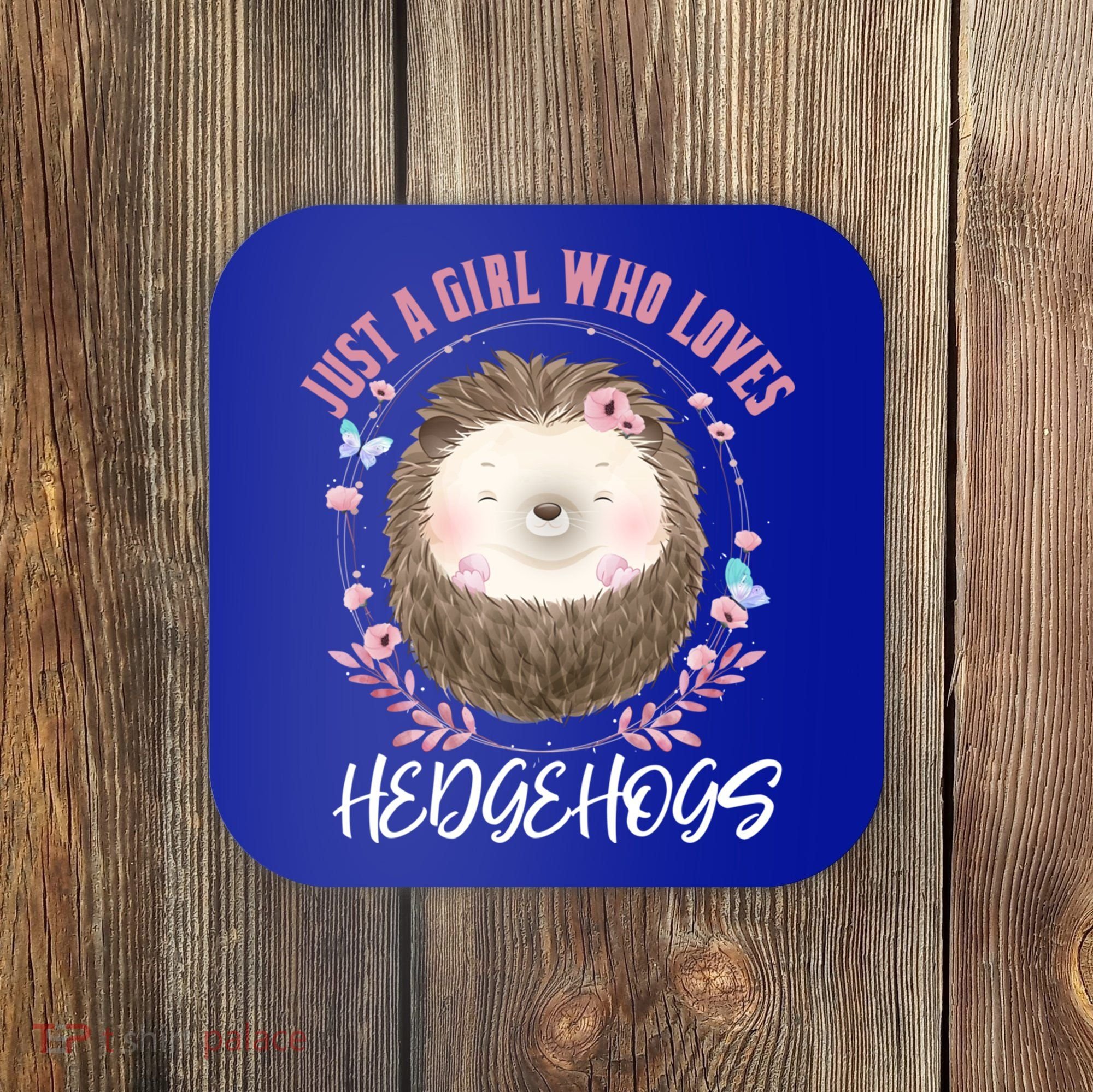 Just A Who Loves Hedgehogs Forest Animal Cute Hedgehog Gift Coaster